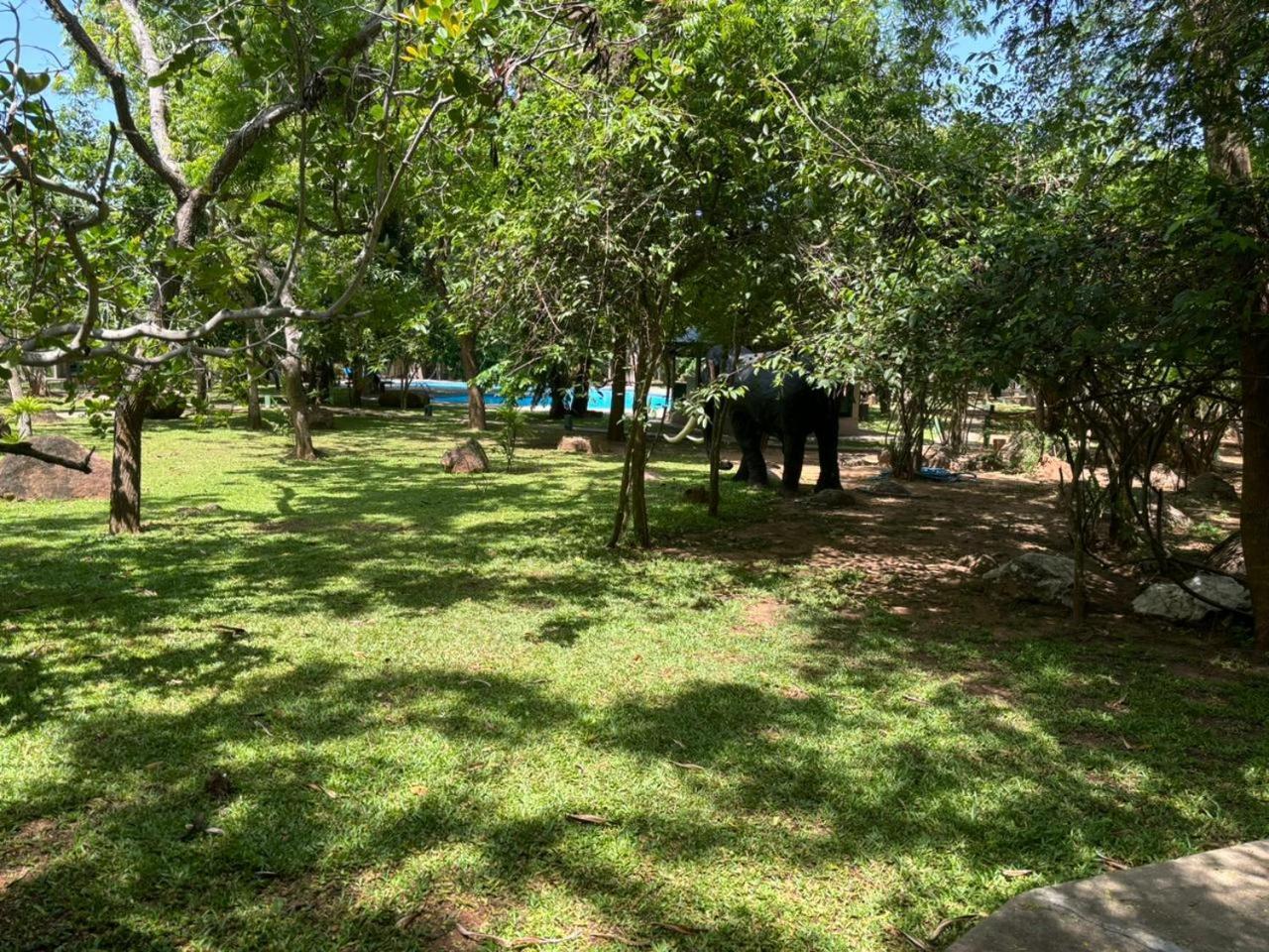 Hotel Elephant Reach Yala Exterior photo
