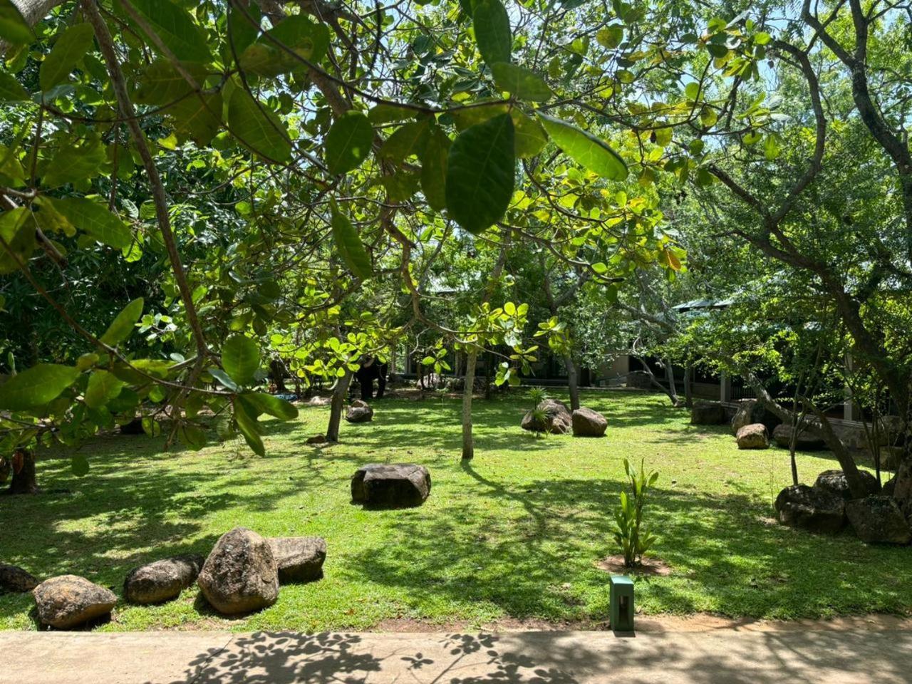 Hotel Elephant Reach Yala Exterior photo