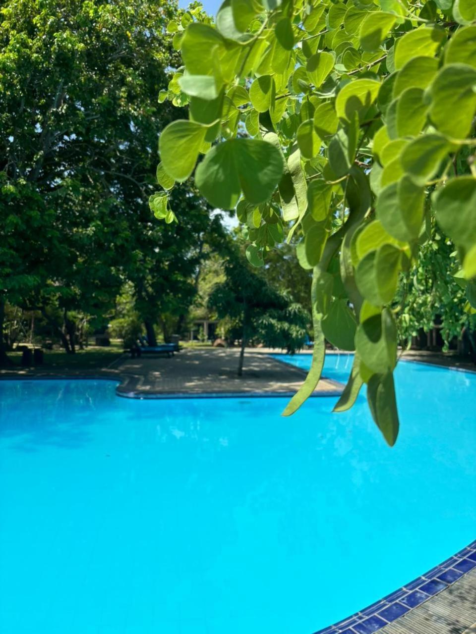 Hotel Elephant Reach Yala Exterior photo