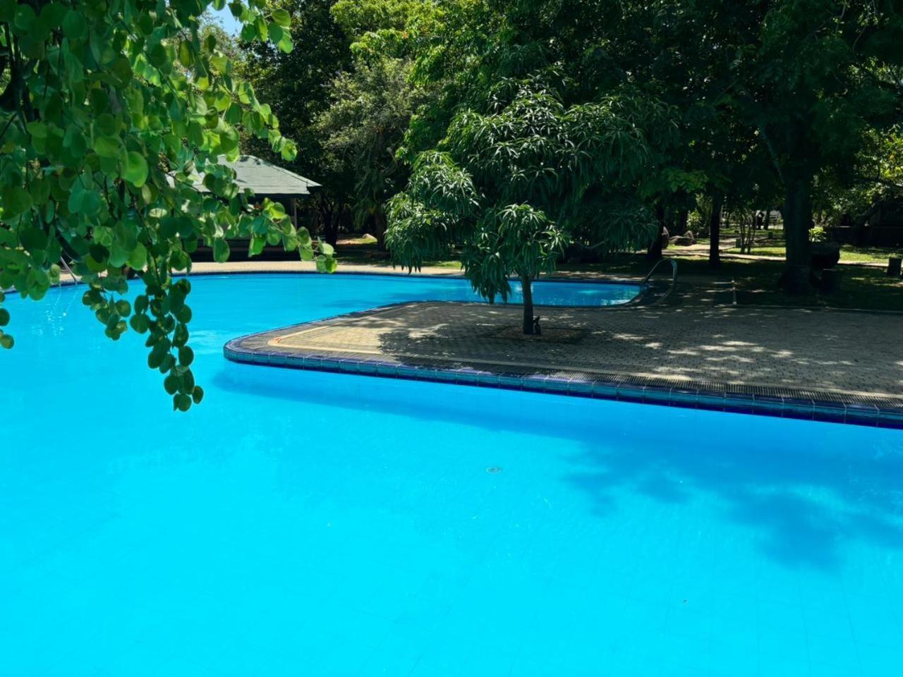 Hotel Elephant Reach Yala Exterior photo